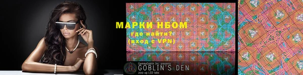 хмурый Абаза