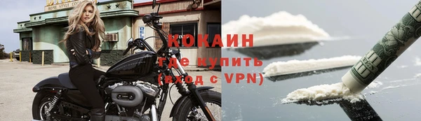 хмурый Абаза