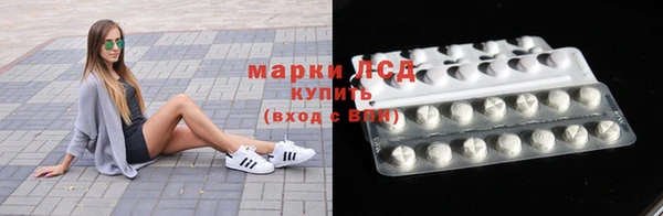 хмурый Абаза