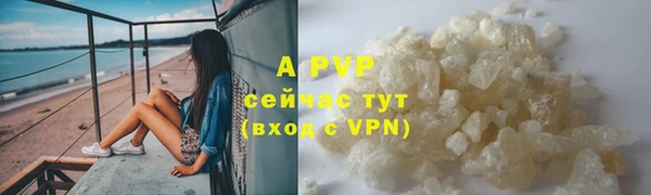 хмурый Абаза