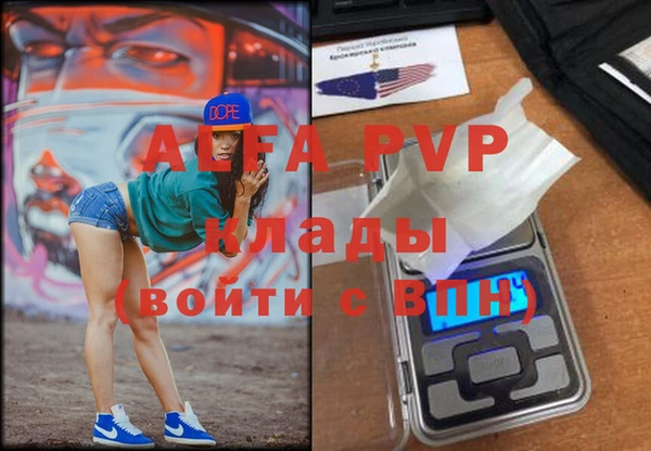 хмурый Абаза