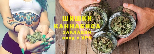 хмурый Абаза