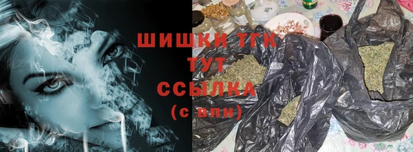 хмурый Абаза