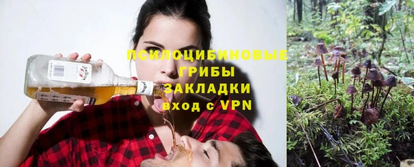 хмурый Абаза