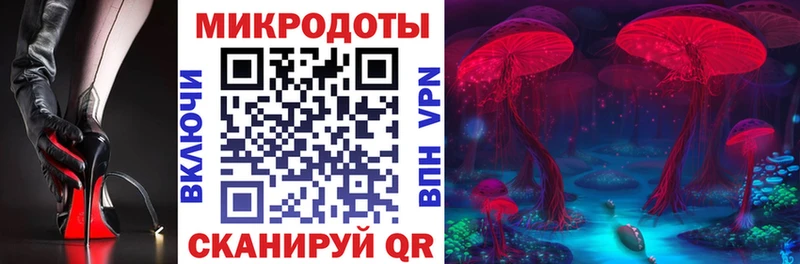 купить  сайты  Зеленодольск  Псилоцибиновые грибы GOLDEN TEACHER 